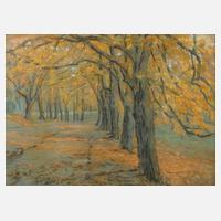 Albrecht Biedermann, Herbstallee111