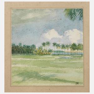 Thea de Haas, Serengeti-Steppe