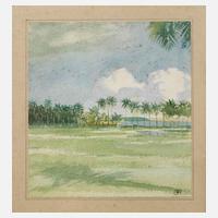 Thea de Haas, Serengeti-Steppe111