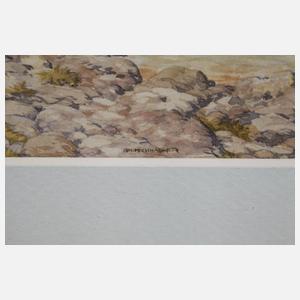 Joh. Pechhacker, Bosnisches Dorf am Fluss