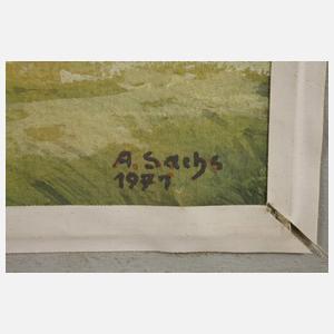 Adolf Sachs, Dorf im Gebirge