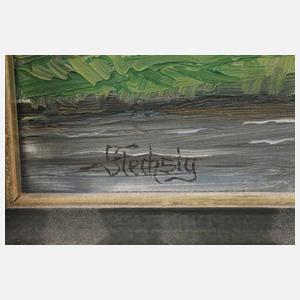 Flechsig, Ansicht Kürbitz