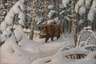 Friedrich Reimann, Wildschwein in Winterlandschaft