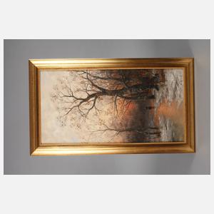 R. Ducat, Abendsonne im Winterwald