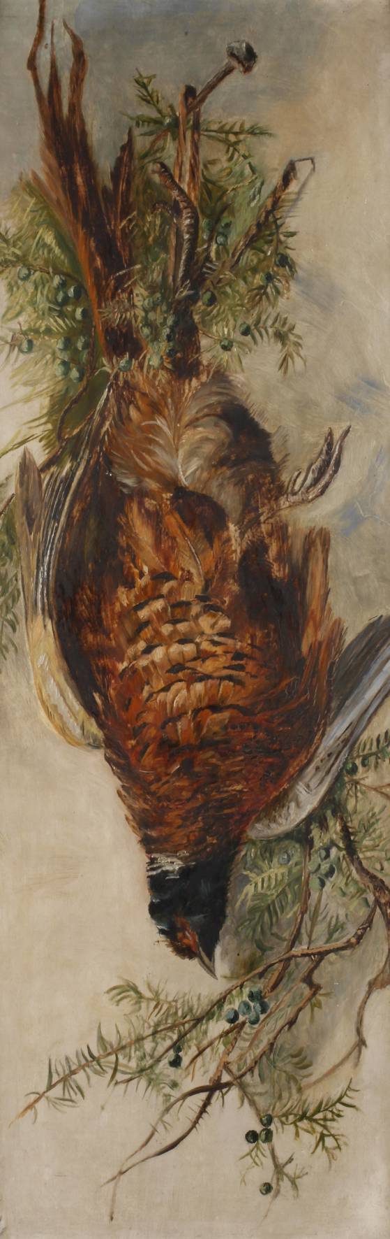 Jagdlich drapierter Fasan