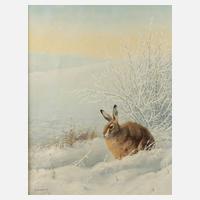 K. A. Bauer, Hase in Winterlandschaft111