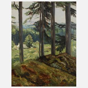 Ernst Faehndrich, Sommerlicher Waldausblick