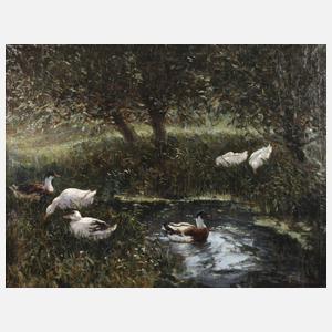 H. G. de Korte, Enten am Teich