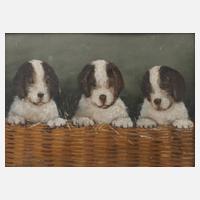 Dènes Mesteàzy, attr., Drei Hunde im Korb111