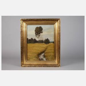 A. Podlesak, Graslandschaft mit Bäumen