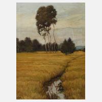 A. Podlesak, Graslandschaft mit Bäumen111