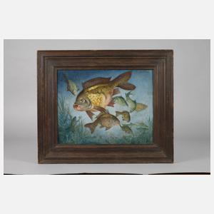 Josef Rösl, Karpfen im Teich