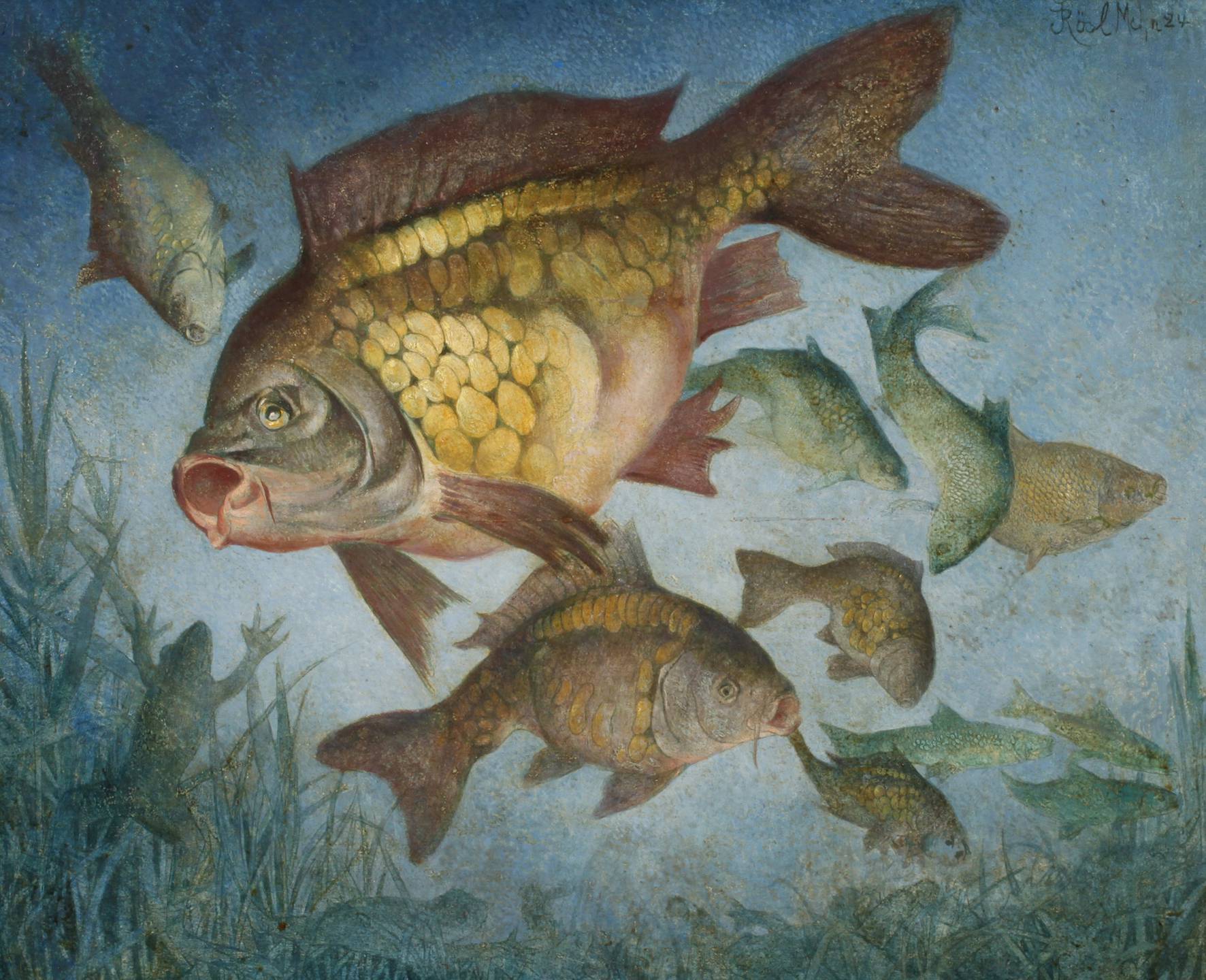 Josef Rösl, Karpfen im Teich