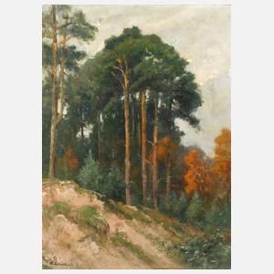 Karl Hermann Schellbach, attr., Märkischer Wald