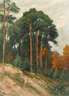 Karl Hermann Schellbach, attr., Märkischer Wald