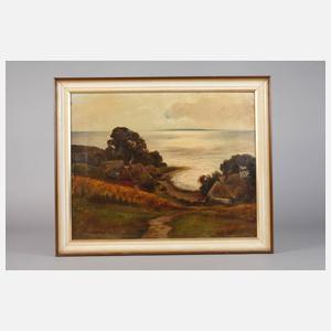 Schönichen, Ansicht Fischerdorf Vitt auf Rügen