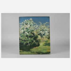 M. Sieber, ”Hollunder”