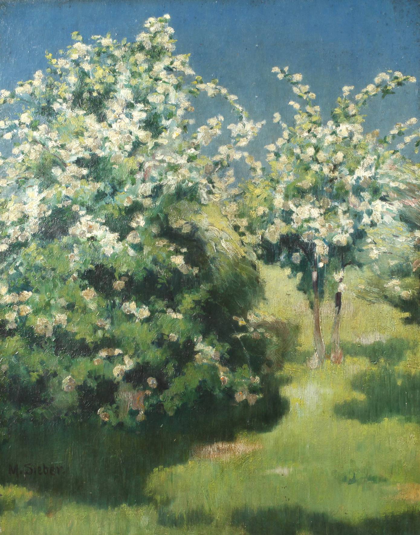 M. Sieber, ”Hollunder”