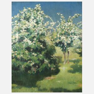 M. Sieber, ”Hollunder”