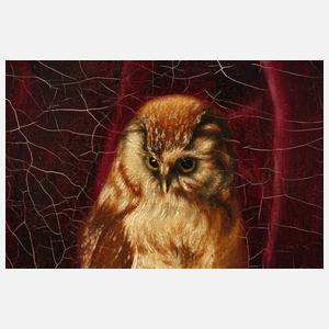 Theodor von Stiernberg, Stillleben mit Käuzchen und Kartenspiel