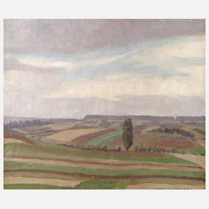 Carl Stolz, Weite Märzlandschaft