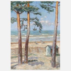 Vogt, Sommerliche Strandansicht