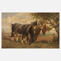 Wilhelm Westerop, Rastende Ackerpferde111