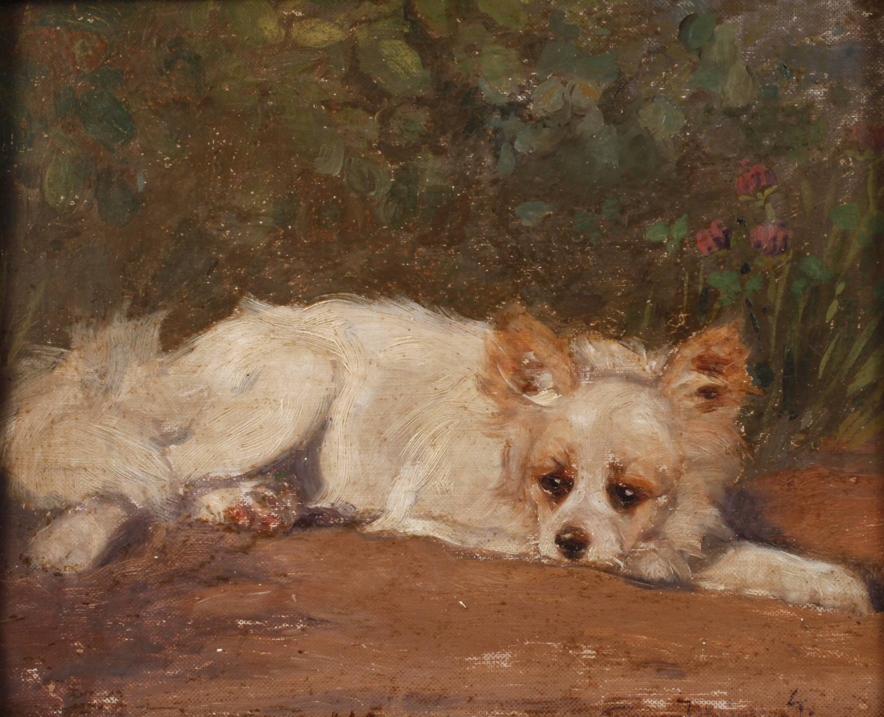 Ruhender Hund im Garten