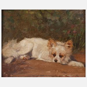 Ruhender Hund im Garten