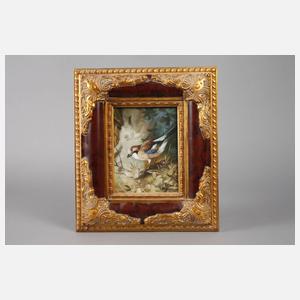 Eichelhäher im Geäst