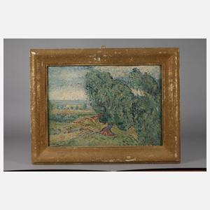 Bäume in weiter Sommerlandschaft