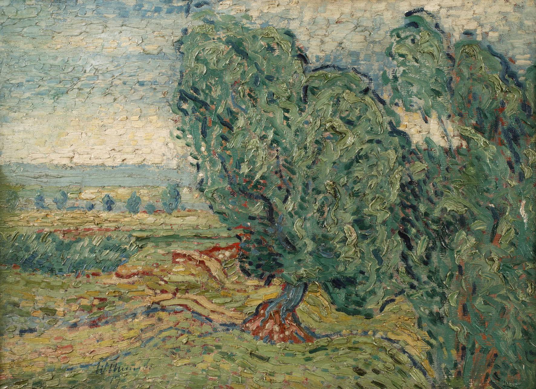 Bäume in weiter Sommerlandschaft