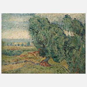 Bäume in weiter Sommerlandschaft