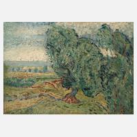 Bäume in weiter Sommerlandschaft111