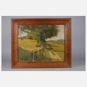 Weg durch lichte Sommerlandschaft