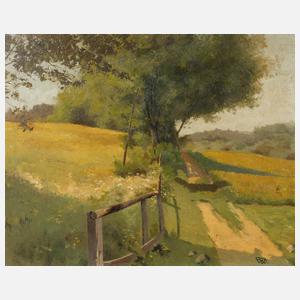 Weg durch lichte Sommerlandschaft