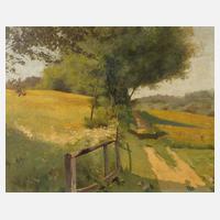 Weg durch lichte Sommerlandschaft111