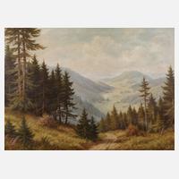 Gebirgslandschaft111