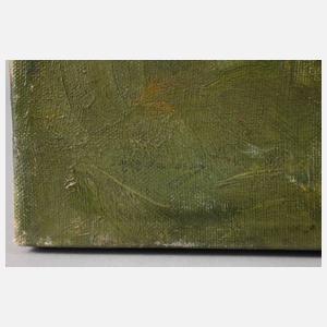 Bäuerin vor niederländischem Dorfidyll