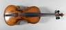 Violine