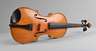 Violine