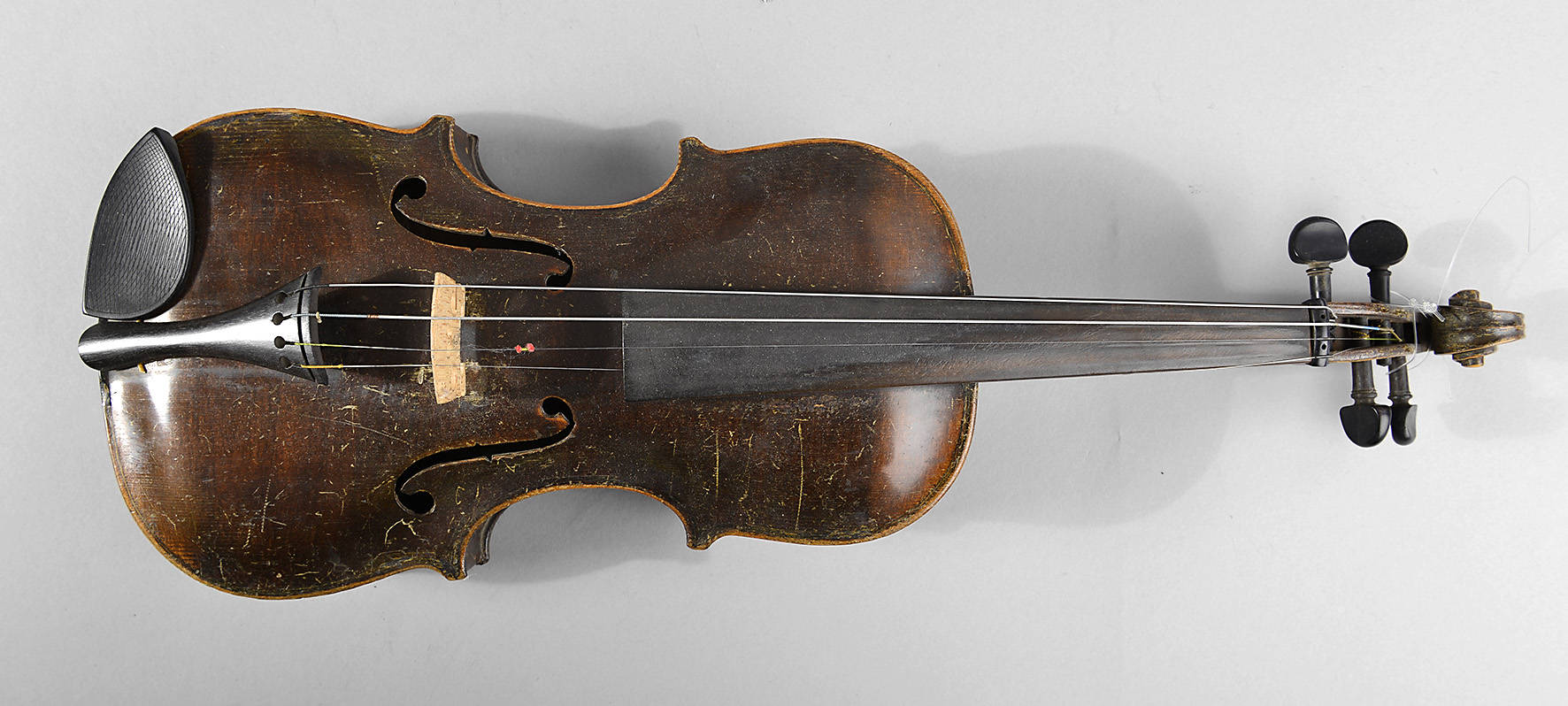 Violine