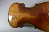 Violine