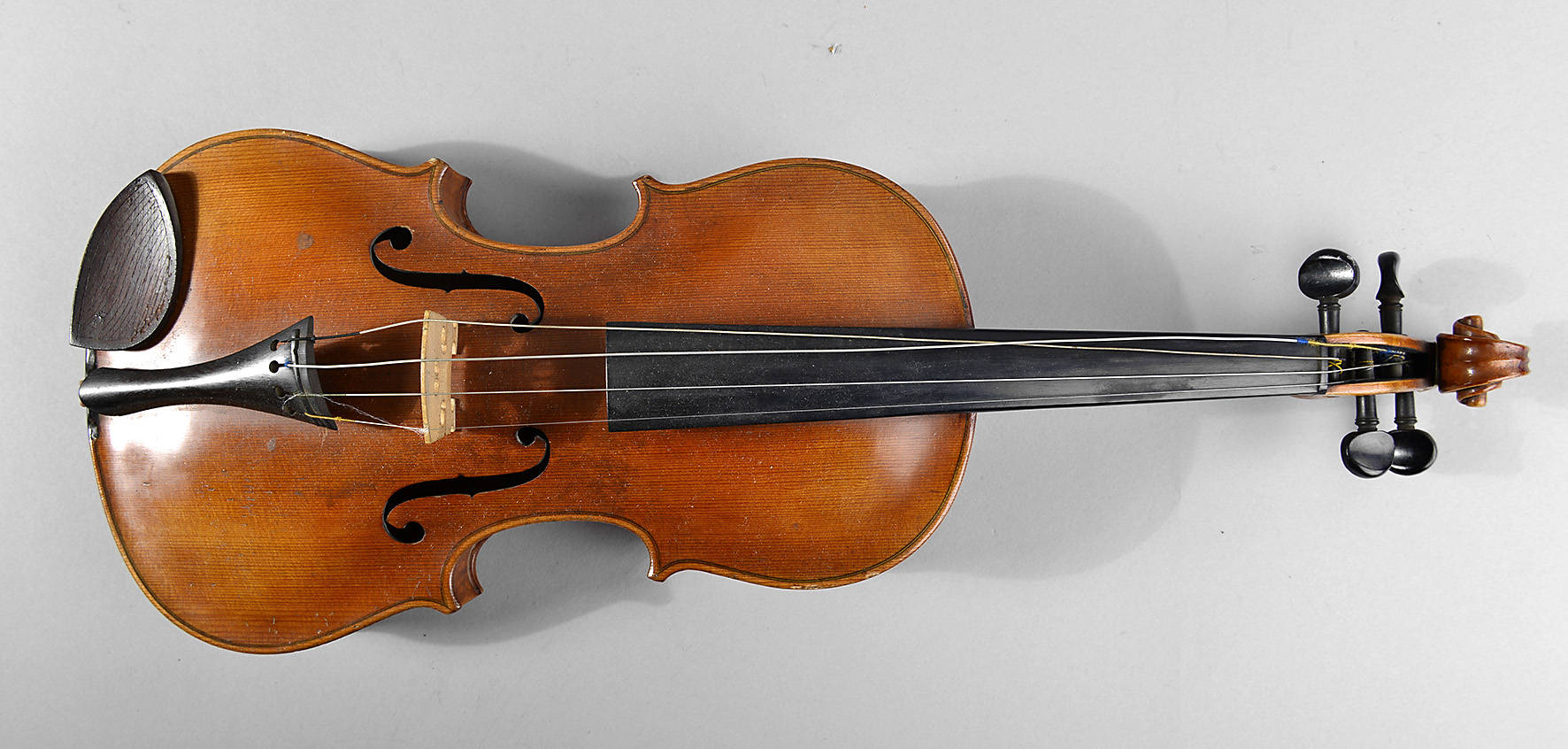 Violine