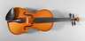 Violine