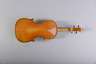 Violine