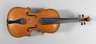 Violine