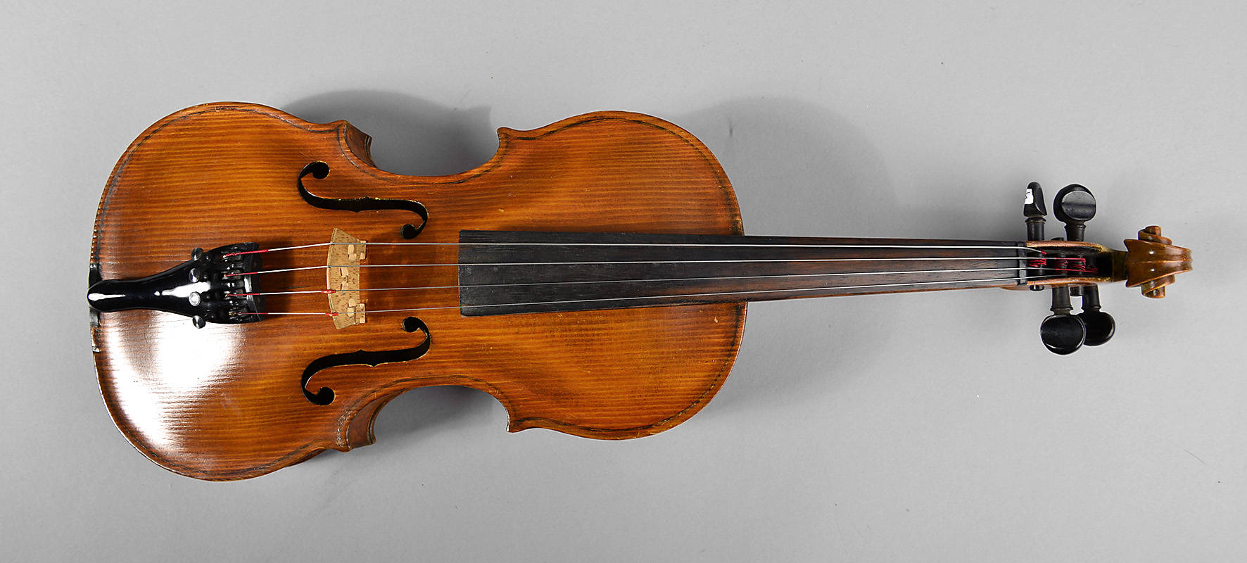 Violine