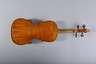 Violine