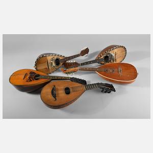 Konvolut fünf Mandolinen